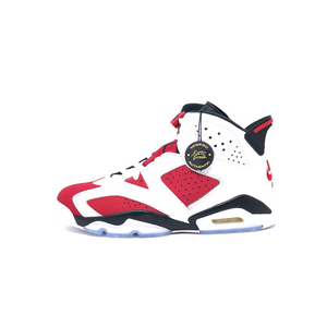 Jordan 6 Retro Carmine (2021)