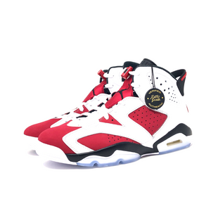 Jordan 6 Retro Carmine (2021)